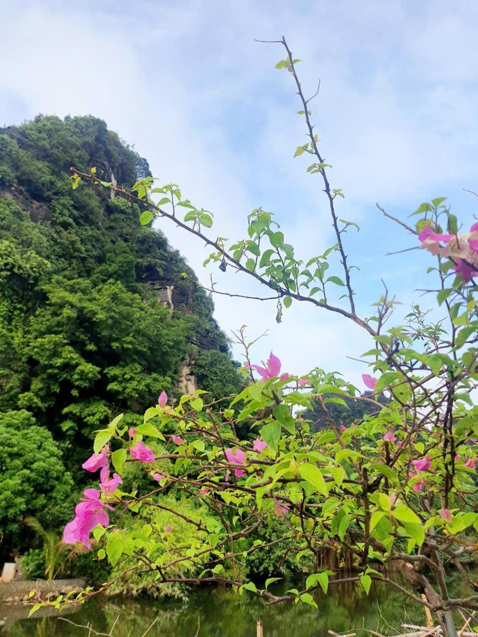 Trang An Hana Homestay Nguyen Ngoai Esterno foto