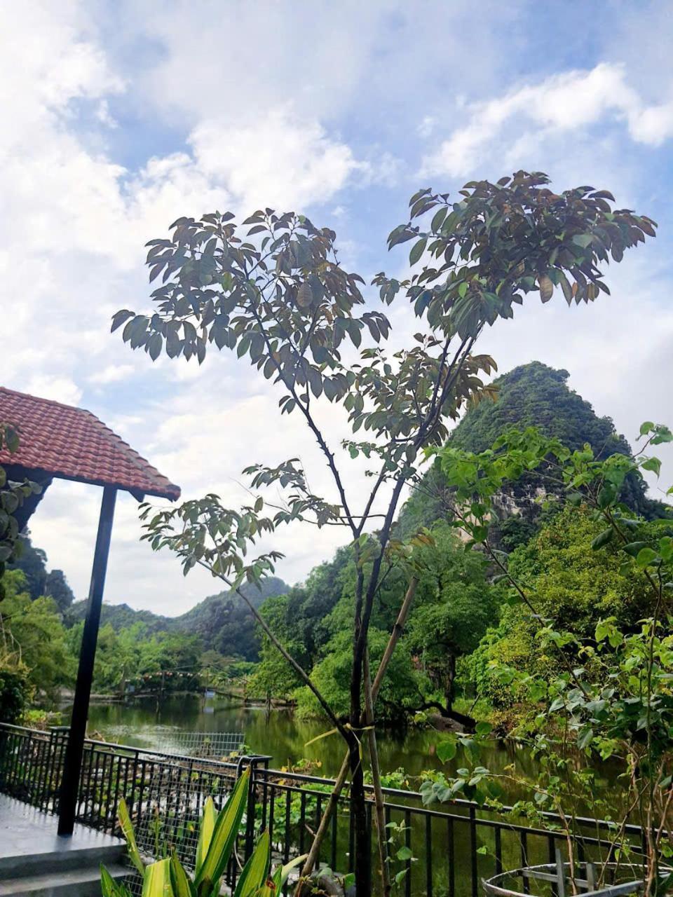 Trang An Hana Homestay Nguyen Ngoai Esterno foto