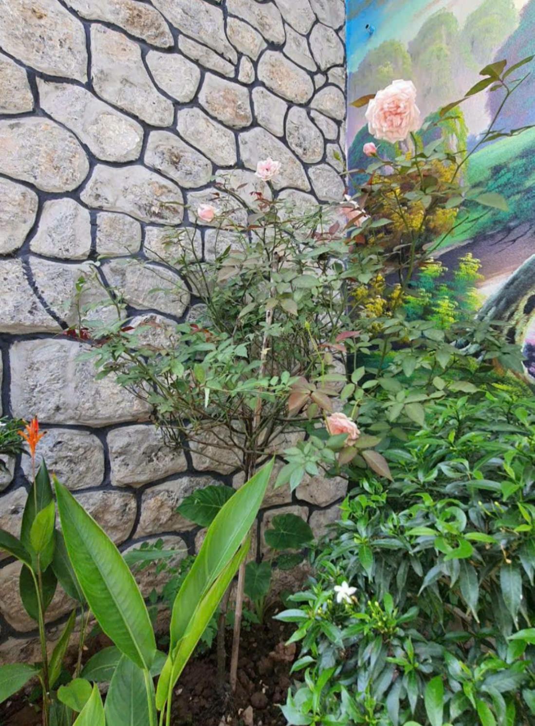 Trang An Hana Homestay Nguyen Ngoai Esterno foto
