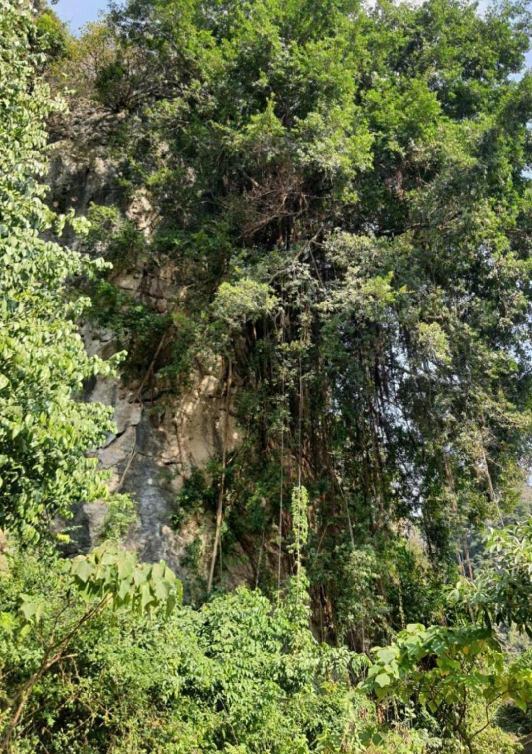 Trang An Hana Homestay Nguyen Ngoai Esterno foto
