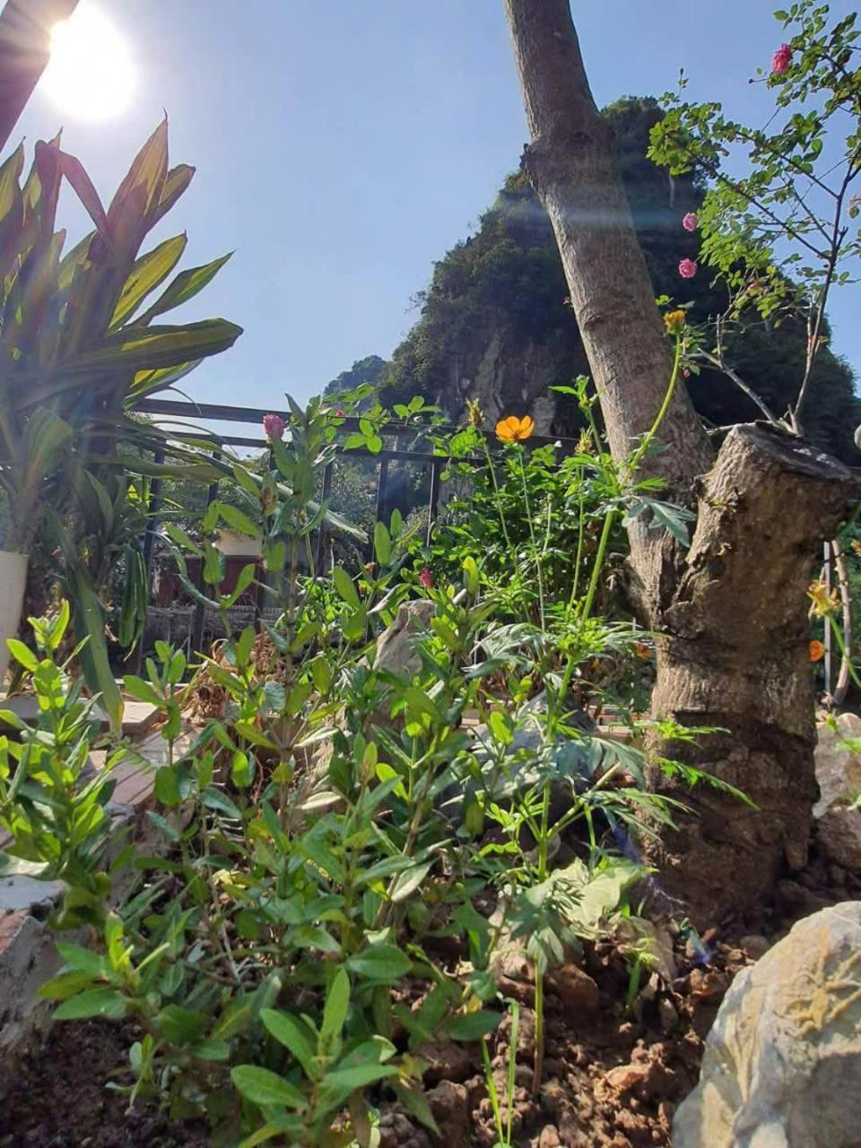 Trang An Hana Homestay Nguyen Ngoai Esterno foto